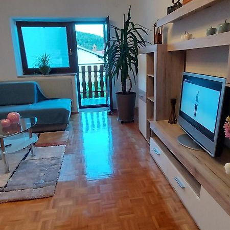 Apartma Pr' Ivani Miskorinovi Breginj Екстериор снимка