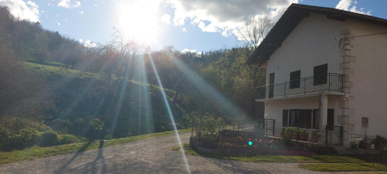 Apartma Pr' Ivani Miskorinovi Breginj Екстериор снимка