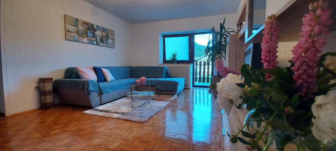 Apartma Pr' Ivani Miskorinovi Breginj Екстериор снимка