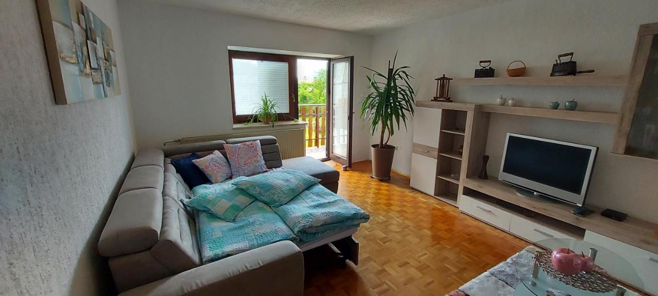 Apartma Pr' Ivani Miskorinovi Breginj Екстериор снимка