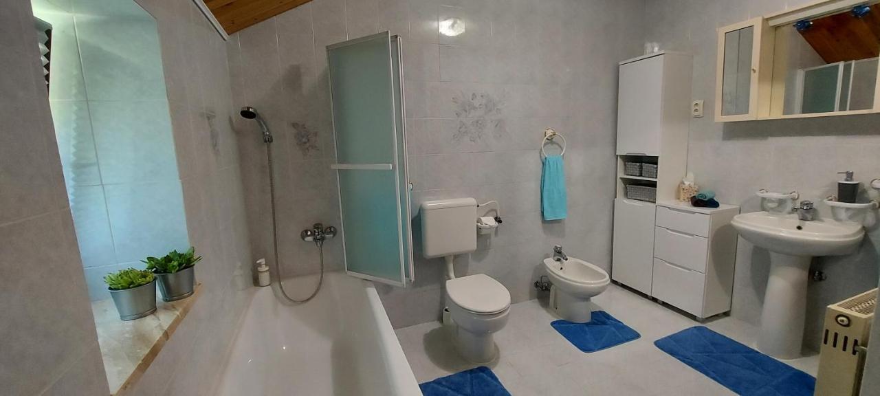 Apartma Pr' Ivani Miskorinovi Breginj Екстериор снимка